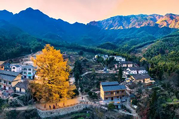 老博会携中福协组织赴江西宜春银发旅居康养产业考察交流圆满结束-广州老博会 (6).jpg